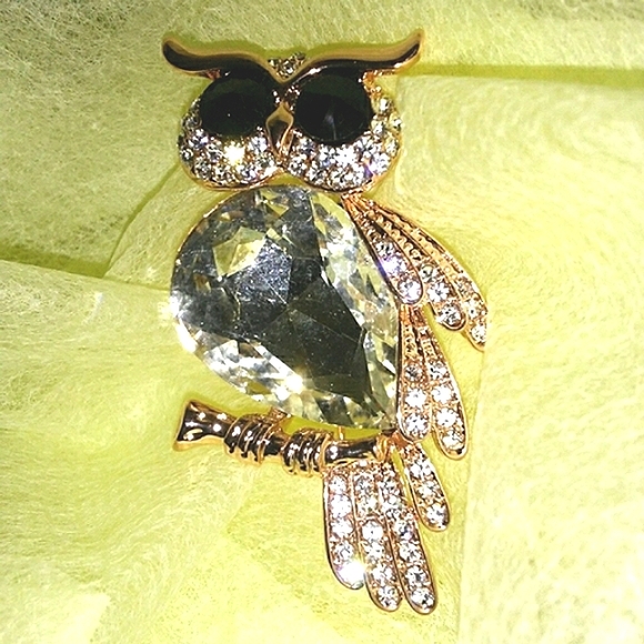 Owl Brooch - Picture 1 of 7